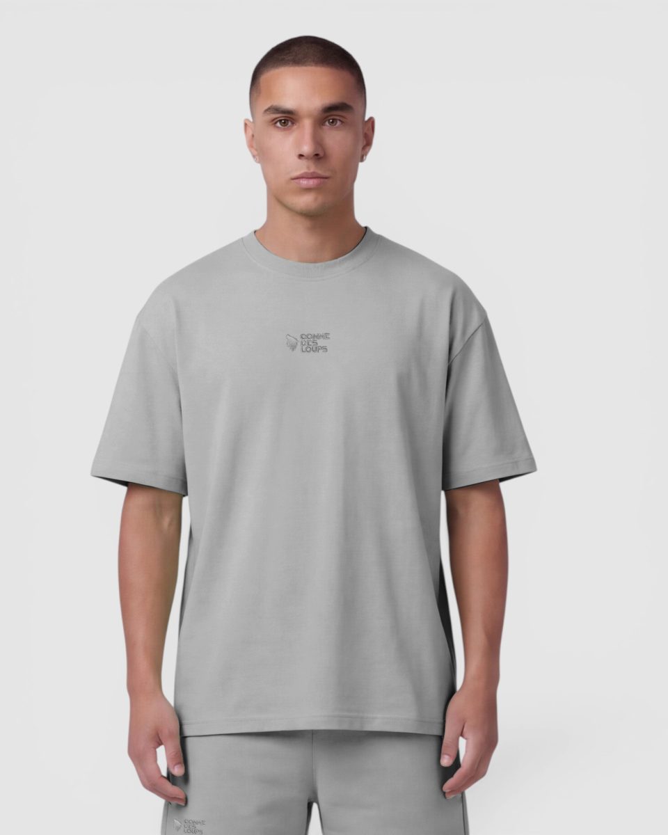 Tee-Shirt Homme JAPAN Gris