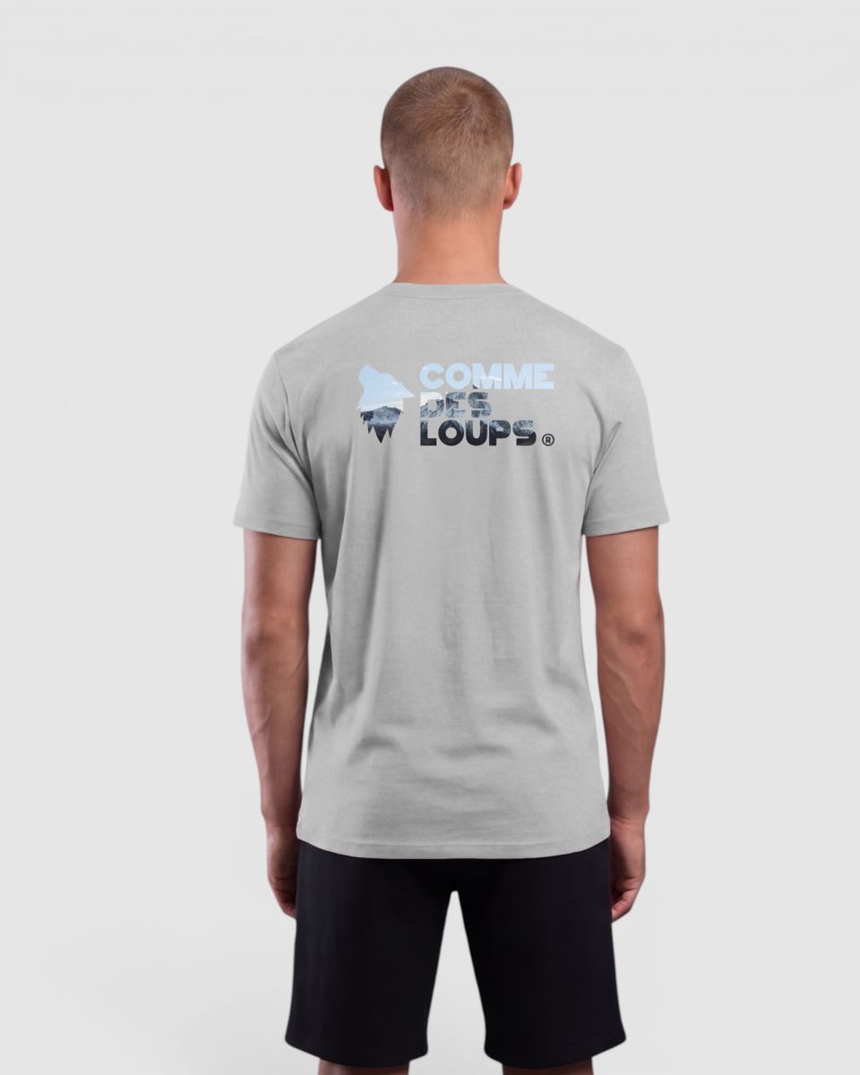 Tee-Shirt Homme PIC Gris